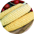 トウモロコシの画像