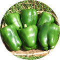 ピーマンの画像
