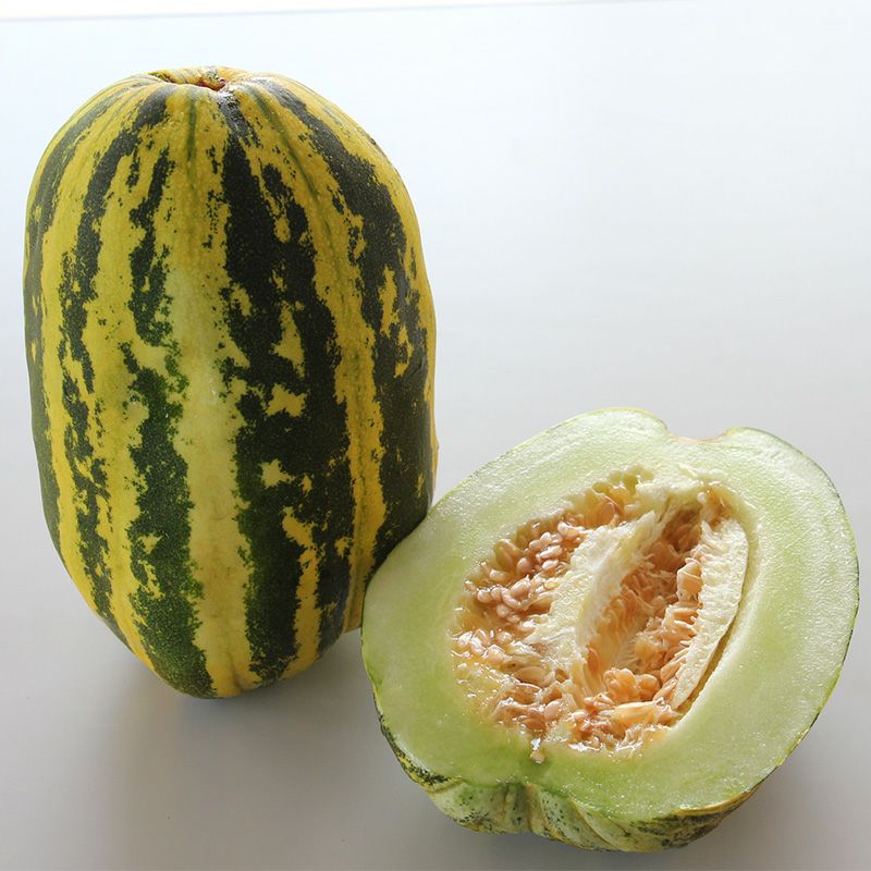 マクワウリ】甜掉牙 | マクワウリの種 | 自然農法の野菜の種の通販