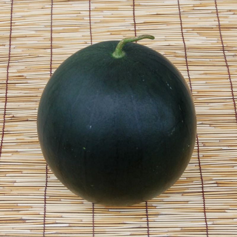 黒小玉スイカ（くろこだますいか）