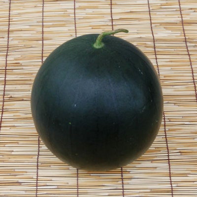 黒小玉スイカ（くろこだますいか）