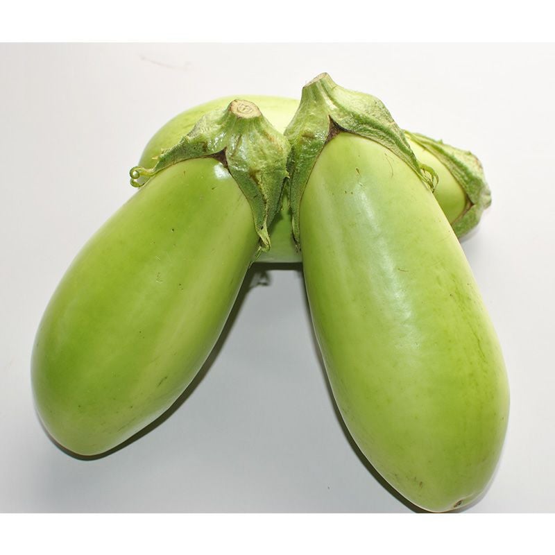 ナス】在来青ナス | 茄子（ナス）の種 | 自然農法の野菜の種の通販