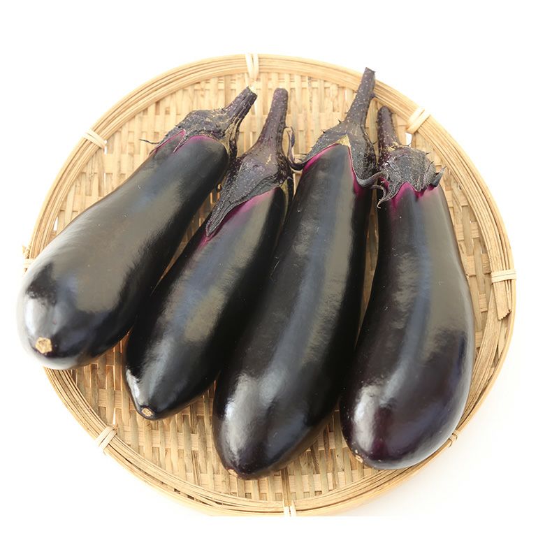 茄子（ナス）の種 | 自然農法の野菜の種の通販サイト メイプルアグリ