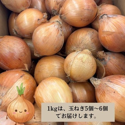 玉ねぎ