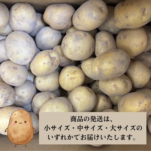じゃがいもキタアカリ