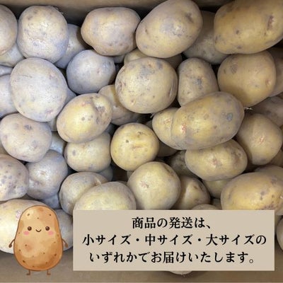 じゃがいもキタアカリ