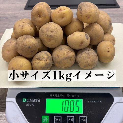じゃがいもキタアカリ