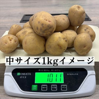 じゃがいもキタアカリ